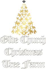 Olde Church Christmas Tree Farm U2013 Closed For The 2020 Season - Christmas Wall Png