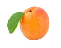 Apricot Fruit Download HD - Free PNG