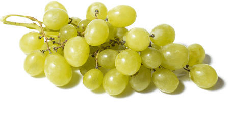 Grapes - Fruitspngtransparentimagescliparticonspngriver White Grapes Png