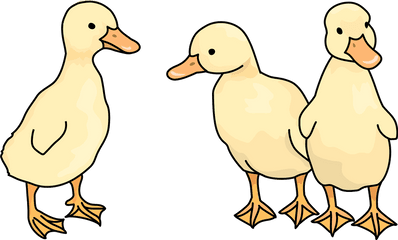 Duckling Bird Clipart Free Download Transparent Png - Bird Clip Art