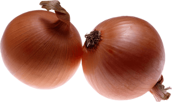 Onion Png Image Download Picture