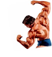 Bodybuilding Transparent Background - Free PNG