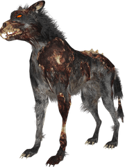 Download Zombie Wolf Zps4bf8a59d - Black Ops Hellhound Png Hell Hound Call Of Duty