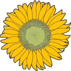 Cropped - Faviconpng U2013 Girasol Fresh