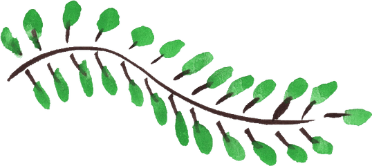 Leaf Png Transparent Vol 5 Onlygfx Com - Twig