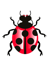 Bug Icon Transparent - Free PNG