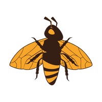 Bumble Vector Trail Bee Free Download PNG HD