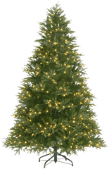 Fir Tree Png Free Background