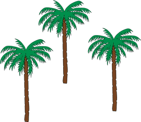 Download Palm Tree Png 22 Buy Clip Art - Small Palm Tree Pom Trees