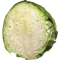 Fresh Cabbage Half PNG Free Photo