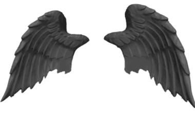 Bird Angels Wings Png - Transparent Photo Image Free Pankh Png