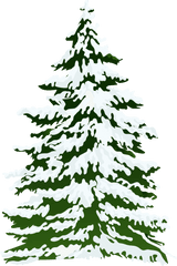Download Free Png Pine Tree Freeuse Stock Outline - Rr Snowy Pine Tree Watercolor