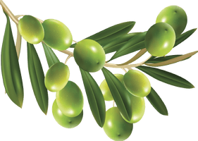 Olive Hd - Free PNG