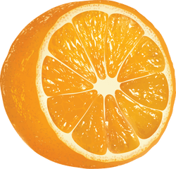 Download Oranges Png Image Photo - Cartoon Oranges