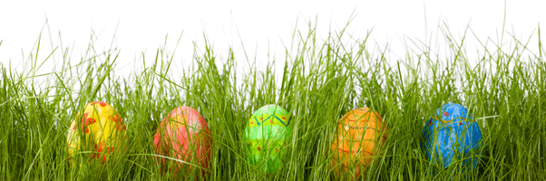 Beautiful Easter Eggs In Grass - Free PNG