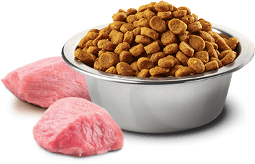 Farmina Prime Natural Delicious - Delicious Dog Food Png