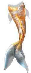 Download Mermaid Clipart Tail - Mermaid Tail For Photoshop Png