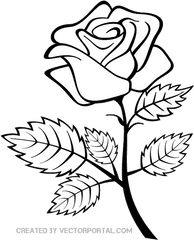 Rose Outline Clipart Images Clip Art - Outline Image Of Rose Flower Png