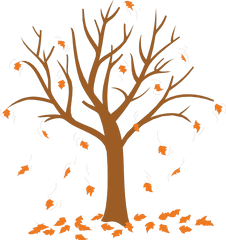Trees Without Leaves Coloring Pages - Tree With Leaves Cartoon Leaves Falling Off Tree Png