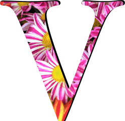 Flower Pattern Letters V - Flower Pattern Letter St Png
