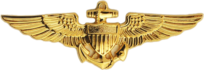 Naval Aviator Badge - Navy Wings Of Gold Png