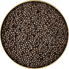 Caviar And Truffles Shop Mercurius Trade Global - Caviar Astrakhan Png