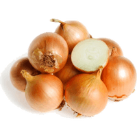 Brown Slice Onion Free Clipart HD - Free PNG