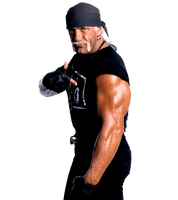 Hulk Hogan Photos - Free PNG