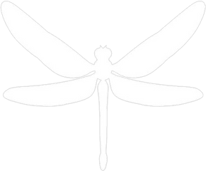 Website Hosting Dragonfly Media - Dragonfly Png