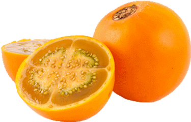 Lulo Fruit Puree 40kg 40x100g - Naranjilla Fruit Png