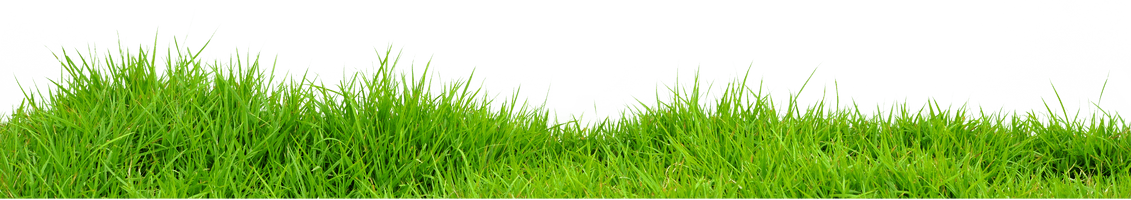 Grass Png Images