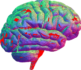 Animated Brain Gif - Clipart Best Brain Gif Transparent Png