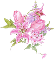 Tulips Bouquet Transparent Png - Orchid Drawing Transparent Background