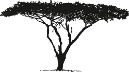 Vector Graphics Africa Image Download Silhouette - High Silhouette Africa Tree Drawing Png