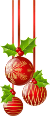 Christmas Ornament Common Holly - Christmas Decorations Clipart Png