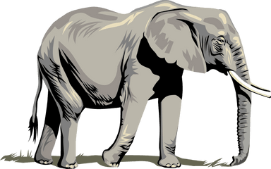 Elephant Clipart Png For Web - Transparent Background Elephant Clipart