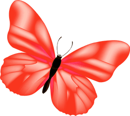 Red Butterfly Png - Pink Butterfly Png Full Size Png Pin On Mariposas