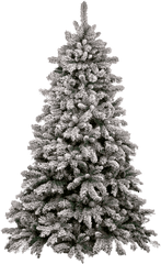 Snow Pine Tree Png Image - Snow Pine Tree Png