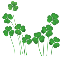 Plant Leaf Ireland St Patricks Shamrocks Saint - Free PNG