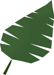 Palm Leaf - Osrs Wiki Parlm Leaf Png