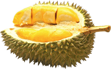 Half Durian Fruit Transparent Png - Interesting Facts About Durian Fruit