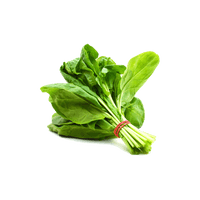 Fresh Green Spinach Download Free Image - Free PNG