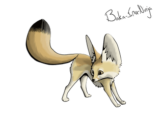 Fox Clipart Transparent Background - Fennec Fox Easy Cute Drawing Of Fennec Fox Png