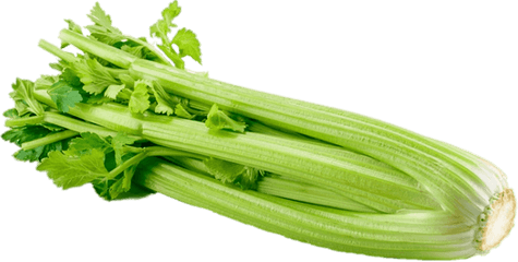 Celery Transparent Png - Celery Transparent Png