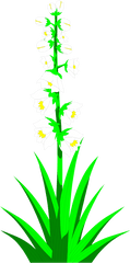 Plant Clipground Clip Art - Yucca Plant Clipart Png