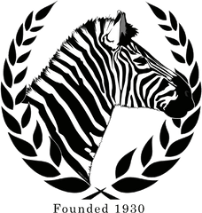 Zebra Basketball Tournament - San Jose Zebras Png