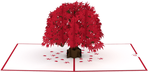 Happy Birthday Japanese - Maple Tree Pop Up Png