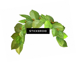 Download Snapchat Filter Green Crown - Snapchat Photo Filter Transparent Green Flower Crown Png