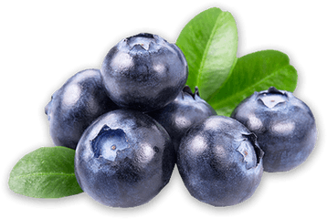 Png Background - Blueberry Png Free