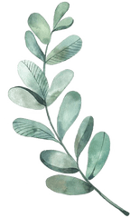 Download Leaf Drawing Watercolor Painting Illustration - Watercolor Leaf Vector Png